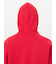 THE NORTH FACE (ﾉｰｽﾌｪｲｽ) - SMALL LOGO HEATHER SWEAT HOODIE (ｽﾓｰﾙﾛｺﾞﾍｻﾞｰｽｳｪｯﾄﾌｰﾃﾞｨ) NT62342