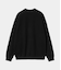 CARHARTT (ｶｰﾊｰﾄ) - BILLY SWEATSHIRT (ﾋﾞﾘｰｽｳｪｯﾄｼｬﾂ) I034038