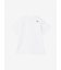 THE NORTH FACE (ﾉｰｽﾌｪｲｽ) - S/S FD NUPTSE COTTON TEE (ｼｮｰﾄｽﾘｰﾌﾞﾌﾗｯｼｭﾄﾞﾗｲﾇﾌﾟｼｺｯﾄﾝﾃｨ) NTW32536 ﾚﾃﾞｨｰｽ