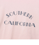 CHAMPION (ﾁｬﾝﾋﾟｵﾝ) - ｳｨﾒﾝｽﾞｼｮｰﾄｽﾘｰﾌﾞTｼｬﾂ CW-B320 ﾚﾃﾞｨｰｽ