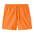 CARHARTT (ｶｰﾊｰﾄ) - CHASE SWIM TRUNKS (ﾁｪｲｽｽｲﾑﾄﾗﾝｸｽ) I035062