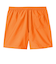 CARHARTT (ｶｰﾊｰﾄ) - CHASE SWIM TRUNKS (ﾁｪｲｽｽｲﾑﾄﾗﾝｸｽ) I035062