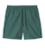 CARHARTT (ｶｰﾊｰﾄ) - CHASE SWIM TRUNKS (ﾁｪｲｽｽｲﾑﾄﾗﾝｸｽ) I035062