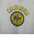 CHAMPION (ﾁｬﾝﾋﾟｵﾝ) - RW CREW NECK SWEATSHIRT (ﾘﾊﾞｰｽｳｨｰﾌﾞｸﾙｰﾈｯｸｽｳｪｯﾄｼｬﾂ) CW-C003 ﾚﾃﾞｨｰｽ