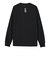 THE NORTH FACE (ノースフェイス) - L/S FLASHDRY ZOO PICKER TEE (ロングスリーブフラッシュドライズーピッカーティー) NT82645