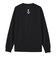 THE NORTH FACE (ノースフェイス) - L/S FLASHDRY ZOO PICKER TEE (ロングスリーブフラッシュドライズーピッカーティー) NT82645