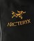 【生産終了カラー】ARC'TERYX /アークテリクス ARRO22/アロー22 バックパック