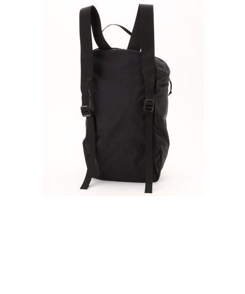 WEB限定 ARC'TERYX/アークテリクス INDEX 15/インデックス 15 バック