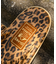 WEB限定 ISLAND SLIPPER/アイランドスリッパ 別注 レオパード トングサンダル/ビーチサンダル