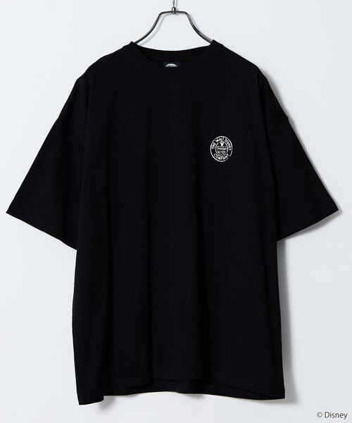 Disney 100th Collection/ディズニー100周年】別注 ビッグ