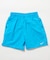 EXCLUSIVE SWIM SHORTS/別注 スイムショーツ