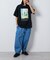 STARWARS/スターウォーズ(Graphic) フロスト加工ショートスリーブTシャツ/半袖