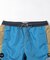MIXED BIRD SEA TRUNK /TCSS×バードウェル ボードショーツ