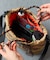 別注 撥水PADDED TOTE MINI BAG