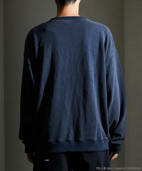 SESAME STREET/セサミストリート クッキーモンスター フロッキー