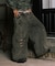 Double Waist Distressed Baggy Curve Denim