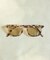 SUNGLASS(サングラス)SUN LIGHT COLOR #E