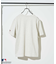 MLB ロゴTシャツ