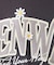 ビッグロゴデイジーTシャツ