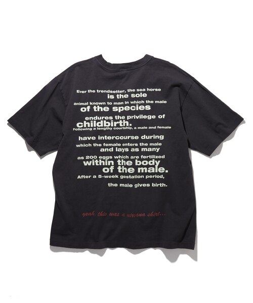 NIRVANA ALL APOLOGIES クルーネックバンドTシャツ｜フリークスストア