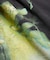 NIRVANA ALL APOLOGIES クルーネックバンドTシャツ
