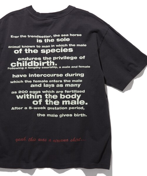 NIRVANA ALL APOLOGIES クルーネックバンドTシャツ｜フリークスストア