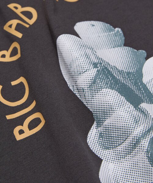 1LDK×big baby ice cream プリント Tシャツ XL 別注 BIG BABY ICE CREAM フォトプリント Tシャツ｜フリークス