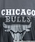 NBAチュールフリルロングスリーブTシャツ