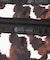 COSMETIC CLUTCH