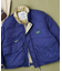 Padding New Destination Jacket Women's