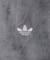 FIRE BIRD TRACK TOP VELOUR