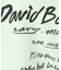 ”David Bowie/デヴィッド・ボウイ”  プリント ロンT