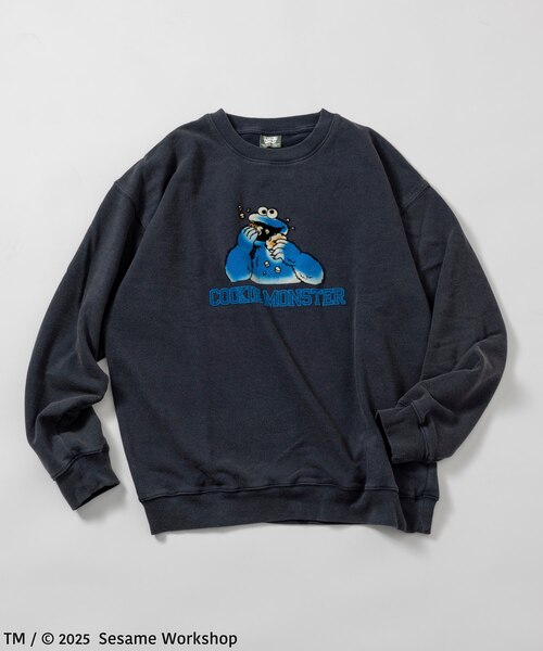 SESAME STREET / セサミストリート クッキーモンスター フロッキー