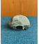 別注 TECH 6PANEL CAP 6パネルキャップ