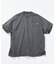 ビッグシルエット ピグメントダイ ヒドゥンロゴ ショートスリーブ ポケットTシャツ