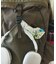 ECOPAK UR BACKPACK バックパック