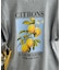 別注 シトロンプリント ビッグTシルエットTシャツ