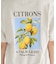 別注 シトロンプリント ビッグTシルエットTシャツ