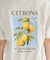 【3月5日12:00～販売開始】別注 シトロンプリント ビッグTシルエットTシャツ