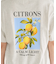 【3月5日12:00～販売開始】別注 シトロンプリント ビッグTシルエットTシャツ