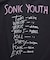 SONIC YOUTH TL DISAPPEARER クルーネック バンドTシャツ