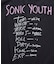 SONIC YOUTH TL DISAPPEARER クルーネック バンドTシャツ