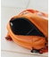 別注 KOOLTHING SOFT COOLER BAG 2L クールシング ソフトクーラーバッグ