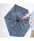 SHAPE-MEMORY UMBRELLA