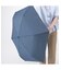SHAPE-MEMORY UMBRELLA