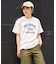 タイガープリントTシャツ