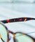 SUN LIGHT COLOR #E ファッション用グラス