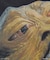 SW26　EP6　JABBA