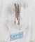 SW26　EP5　WAMPA