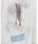 SW26　EP5　WAMPA